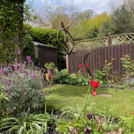 Picturesque Stone Cottage In The Heart Of North Yorkshire Village - Hideaway Cottage Екстер'єр фото