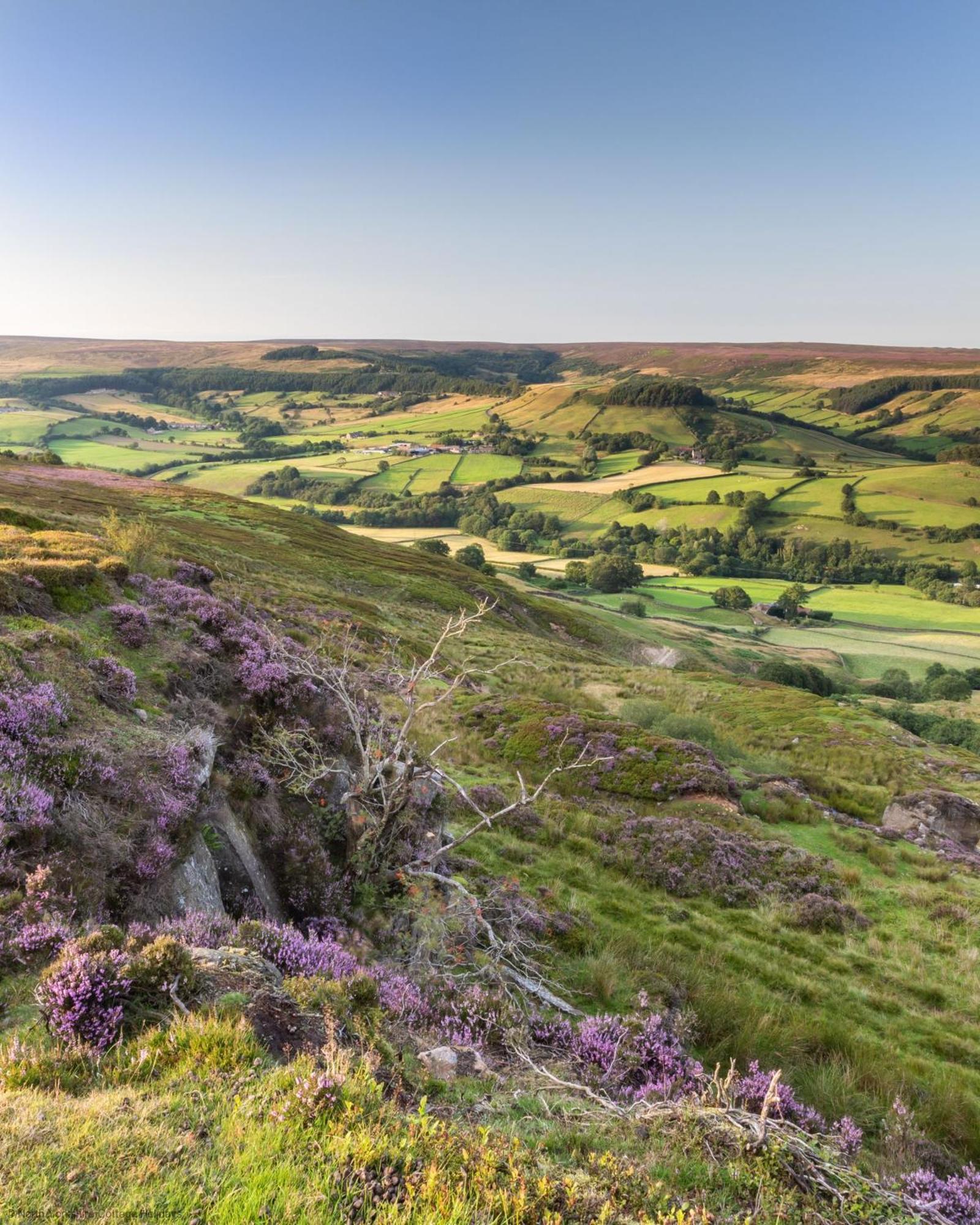 Picturesque Stone Cottage In The Heart Of North Yorkshire Village - Hideaway Cottage Екстер'єр фото